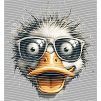 Animal Text Series-AT 555